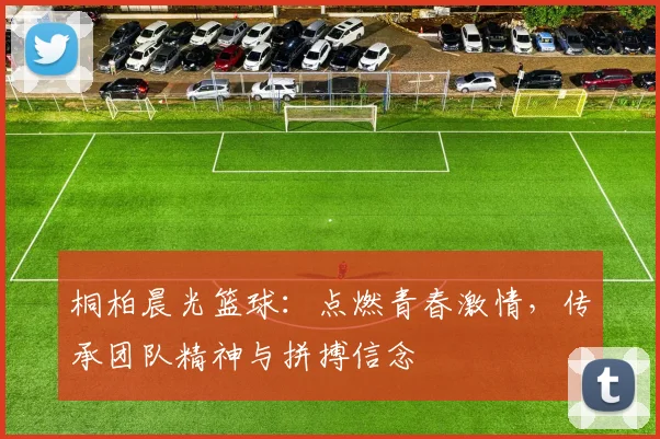 桐柏晨光篮球：点燃青春激情，传承团队精神与拼搏信念