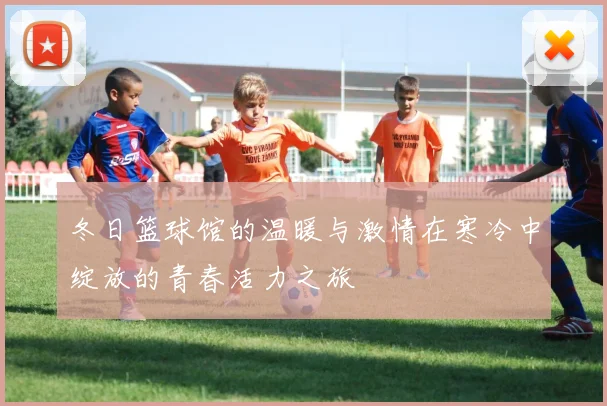 冬日篮球馆的温暖与激情在寒冷中绽放的青春活力之旅
